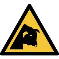 Pictogram Waarschuwing: stier