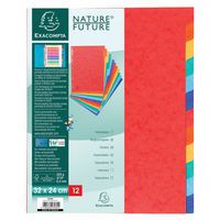 Tabblad echt glanskarton 225g 12 tab 24x32cm Exacompta