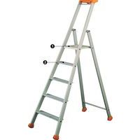 Trapladder Pro 300 - Tubesca