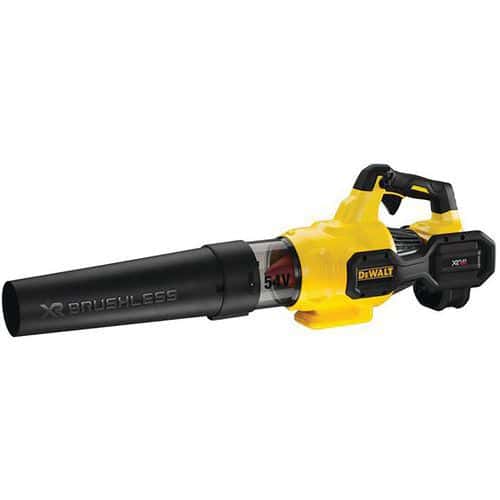 Bladblazer XR 54V - Kale machine - Dewalt