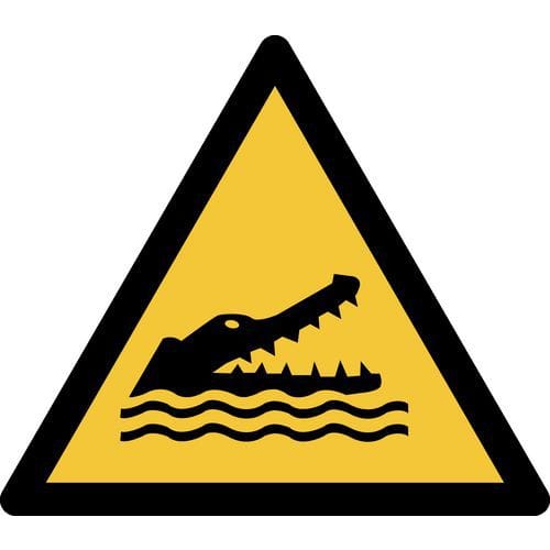 Pictogram Waarschuwing: krokodillen