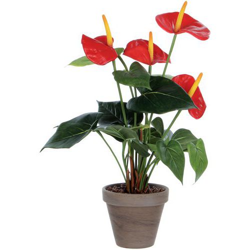 Kunstplant Anthurium - Vepabins