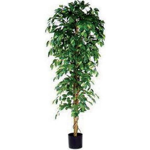 Kunstplant Ficus Benjamina 210cm excl. sierpot - Vepabins