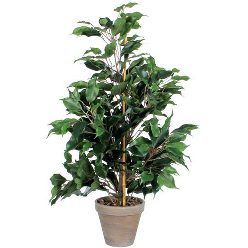 Kunstplant Ficus Exotica 65cm - Vepabins