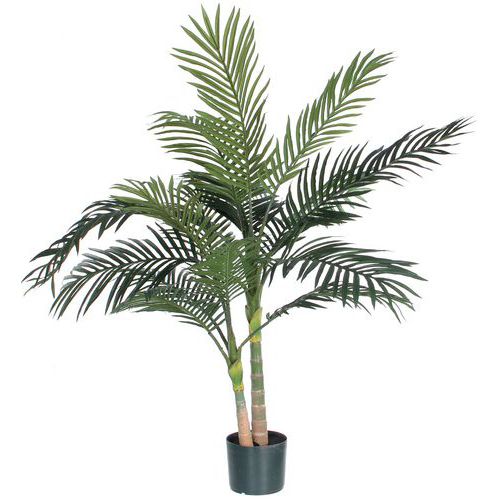 Palmboom Areca Golden Cane 120 cm - Vepabins