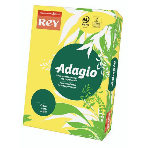 Pak Adagio 500 vellen - Kleur - 80 g