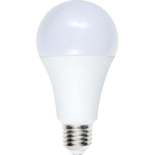 Ledlamp standaard A70 E27 12 W niet dimbaar opaal - SPL