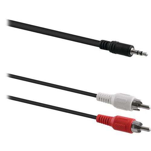 Kabel jack 3,5 mm mannelijk naar 2 RCA mannelijk - T'nB