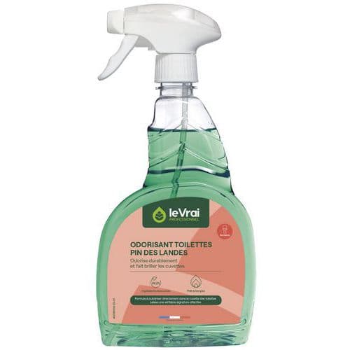 Sanitairspray Le vrai professionnel - 750 ml