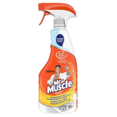 Allesreiniger 750 ml - Mr. Muscle