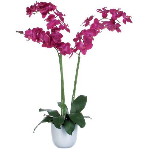 Kunstplant Phalaenopsis orchidee 100cm - Vepabins