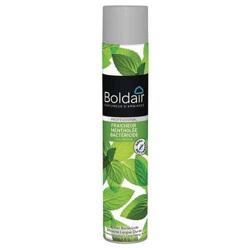 Boldair fris, menthol, bacteriedodend - 500 ml