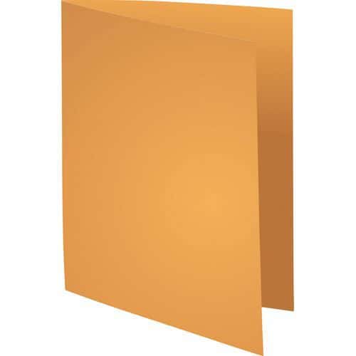 Pakket van 100 mappen Rock''s 220 - 22x31 cm - Exacompta