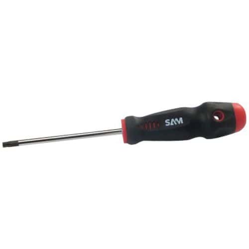 Schroevendraaier Torx - SAM Outillage