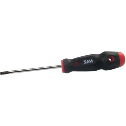 Schroevendraaier Torx - SAM Outillage